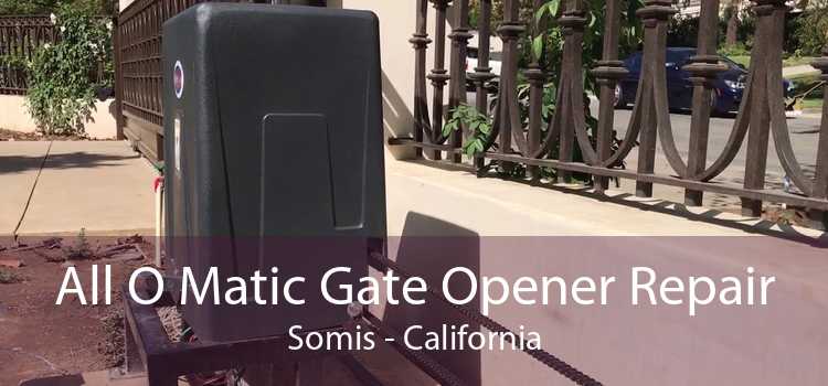 All O Matic Gate Opener Repair Somis - California