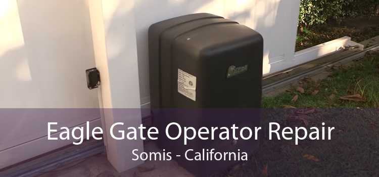 Eagle Gate Operator Repair Somis - California