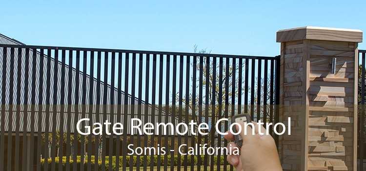 Gate Remote Control Somis - California