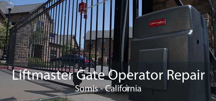 Liftmaster Gate Operator Repair Somis - California