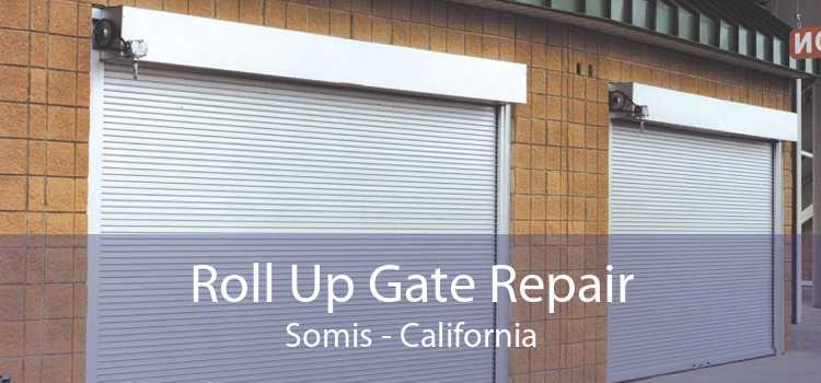 Roll Up Gate Repair Somis - California